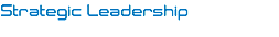 Strategic Leadership